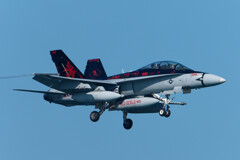 VMFA-232 RED DEVILS  WT #100