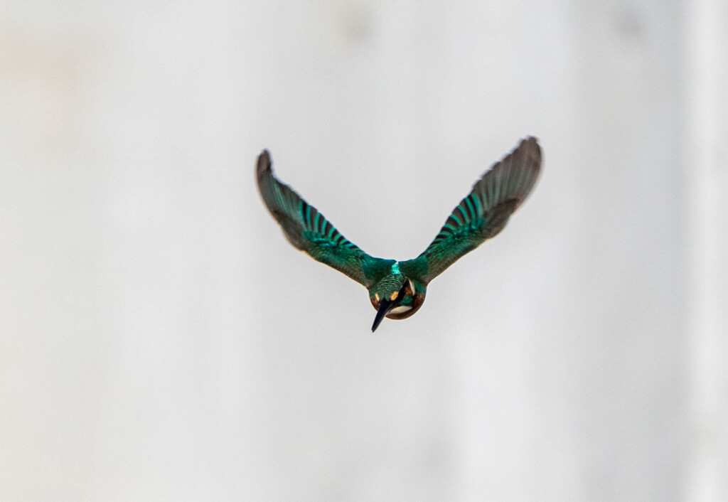 ８か月・・・ぶりに