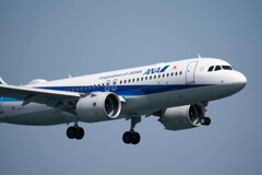 穴‘＠軍は坊主で大ハブて