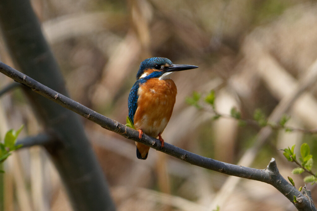DSC06962_DxO