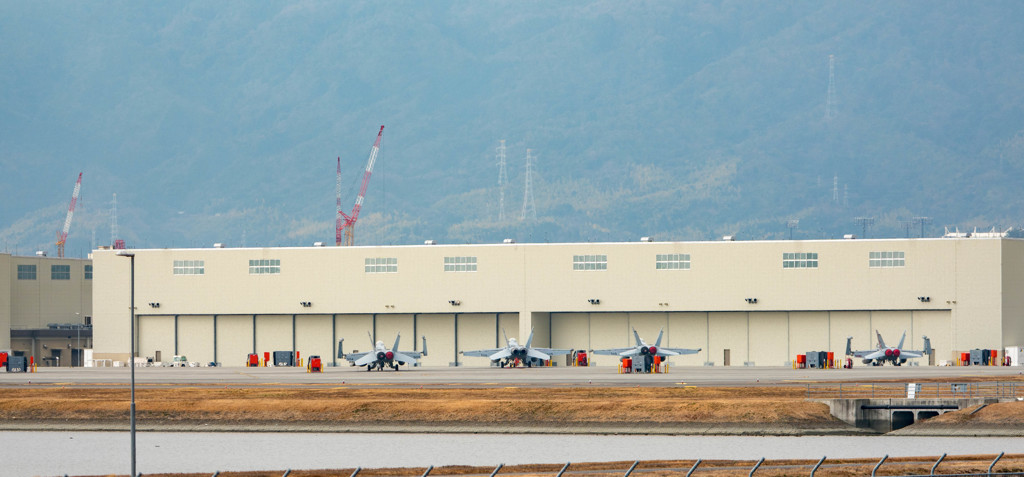 逃げられた・・・( ﾉД`)ｼｸｼｸ…