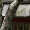 山科散策　毘沙門堂門跡