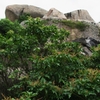 宮島 弥山巨石群