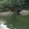 山科散策　琵琶湖疎水（山科疎水）