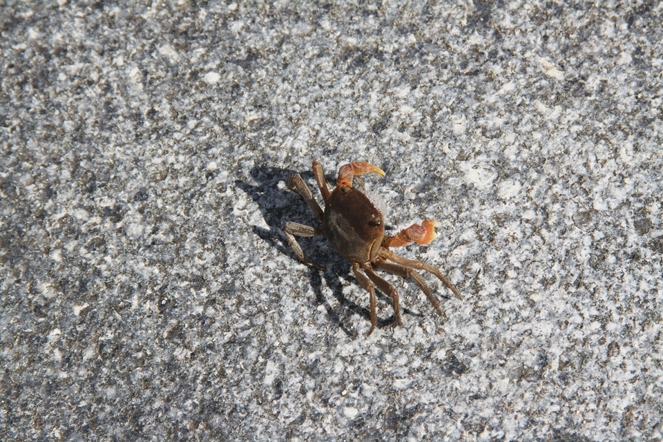 炎天の平和公園を歩く！！