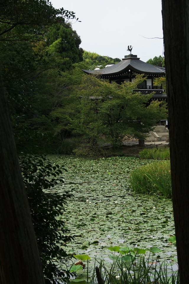 山科散策　勧修寺門跡