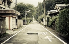 Journey to the deserted village