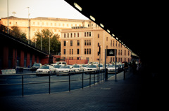 IMG_5858