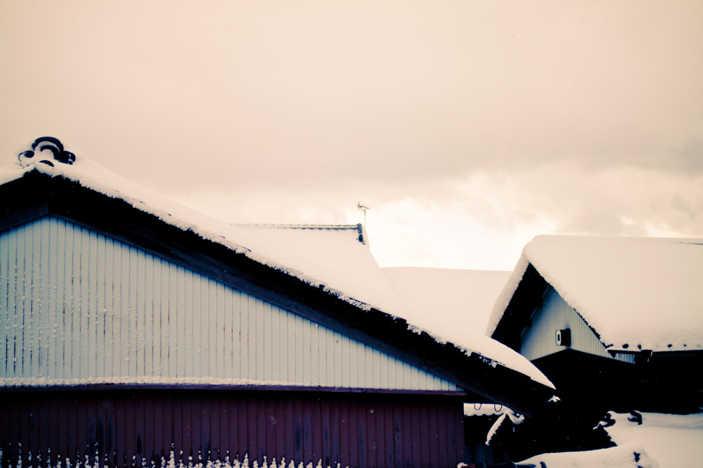 New Year's Day. Snow. 