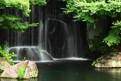 好古園９