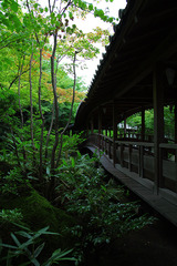 好古園５