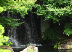 好古園８