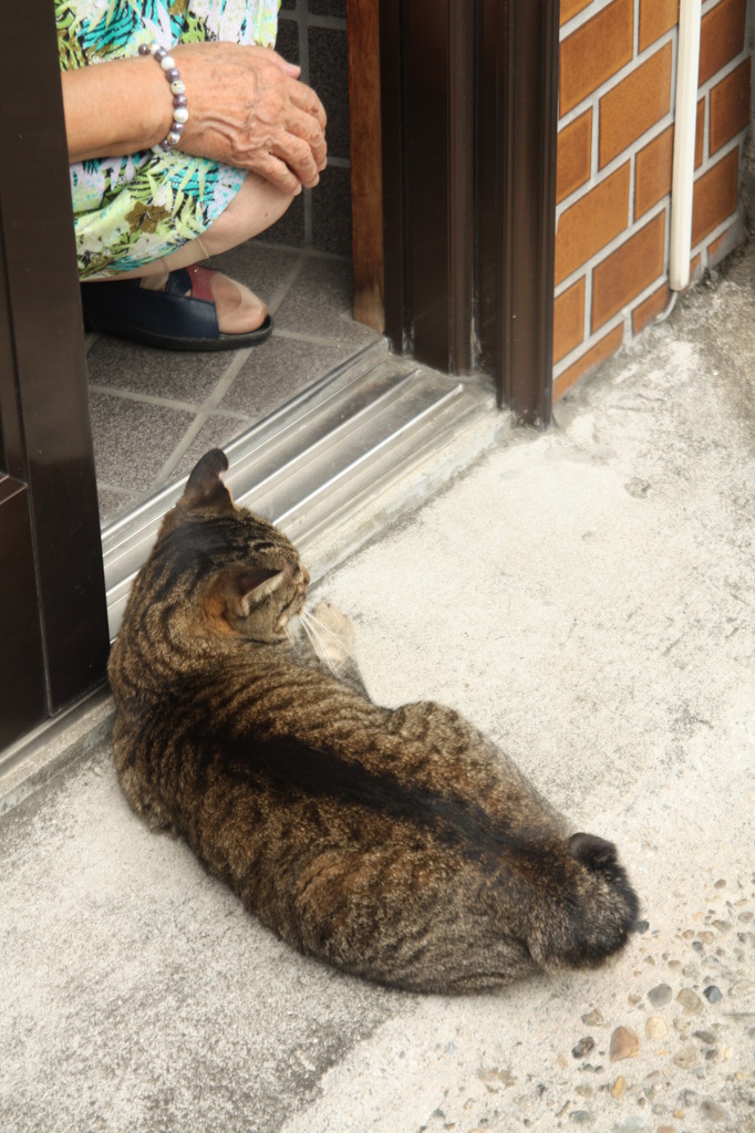 おばあちゃんと一緒