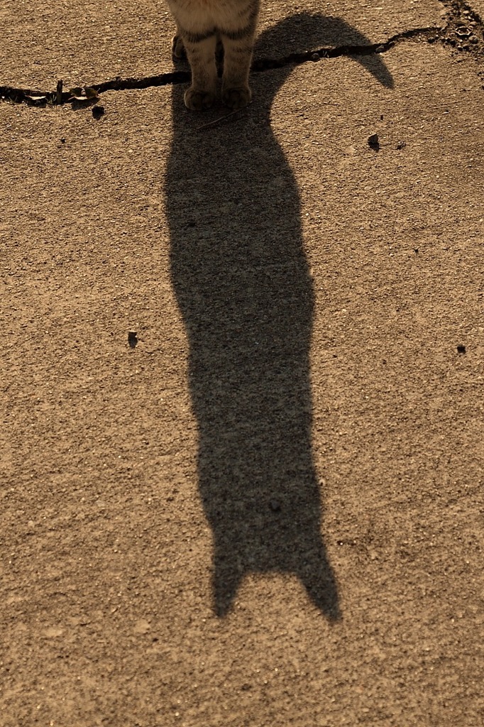 バイバイ
