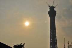 sky tree