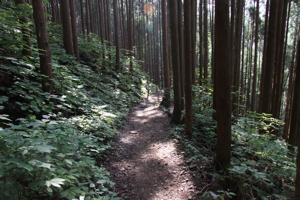 path