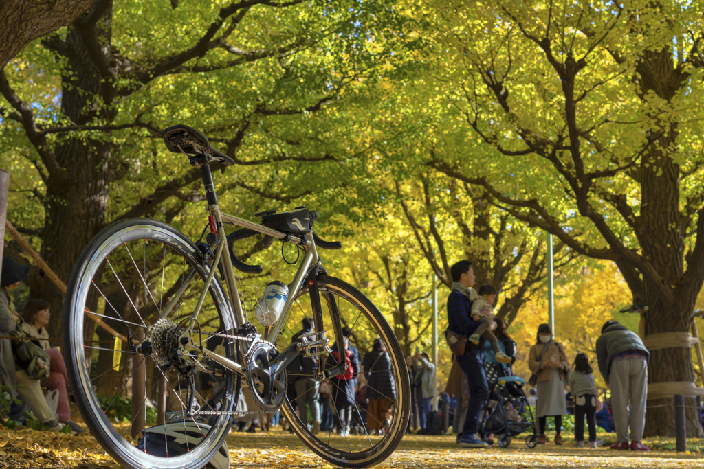 紅葉と自転車