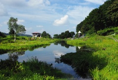 池のある風景