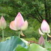 DSC00171