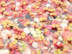 DSC00121