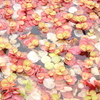 DSC00121