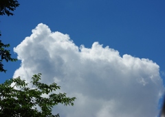 夏雲爽快