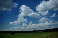 夏雲美景