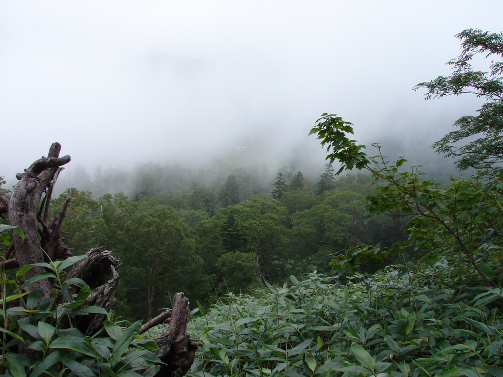 山岳