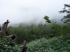 山岳