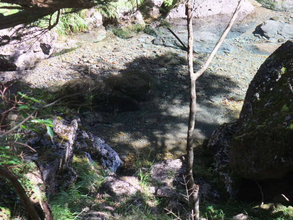 蓼科山の沢