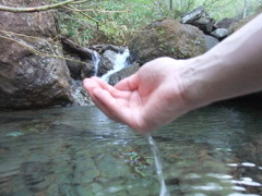 今日を生きる水