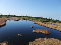 平ヶ岳