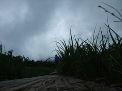 八甲田山
