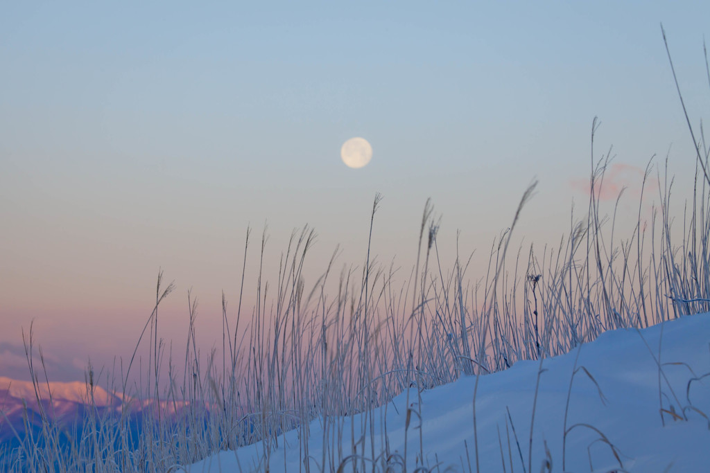 －15℃の優しい夜明け