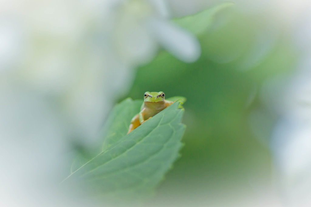 見つめあう恋!?