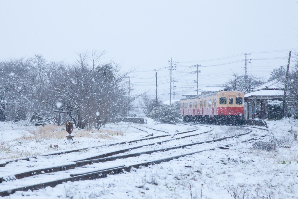 こんな雪の日には