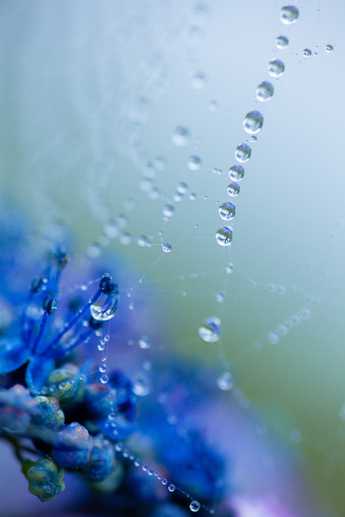 優しい雨 By 彩花 Id 写真共有サイト Photohito