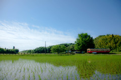 春色の列車に乗って・・・