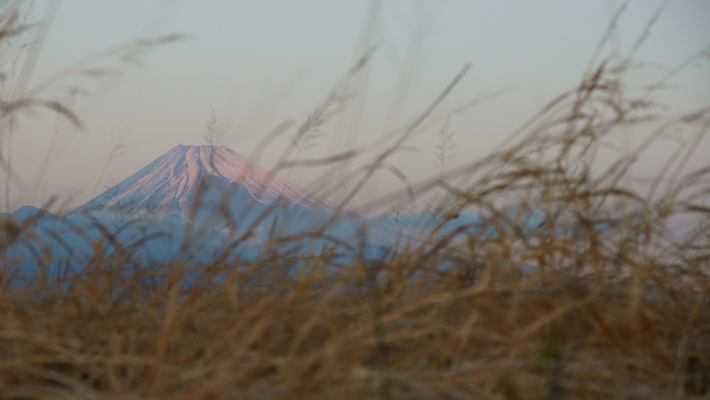 富士を望む