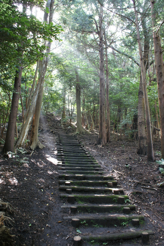 陽光射す山道