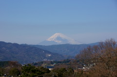 富士の見える公園から～Ｔ端