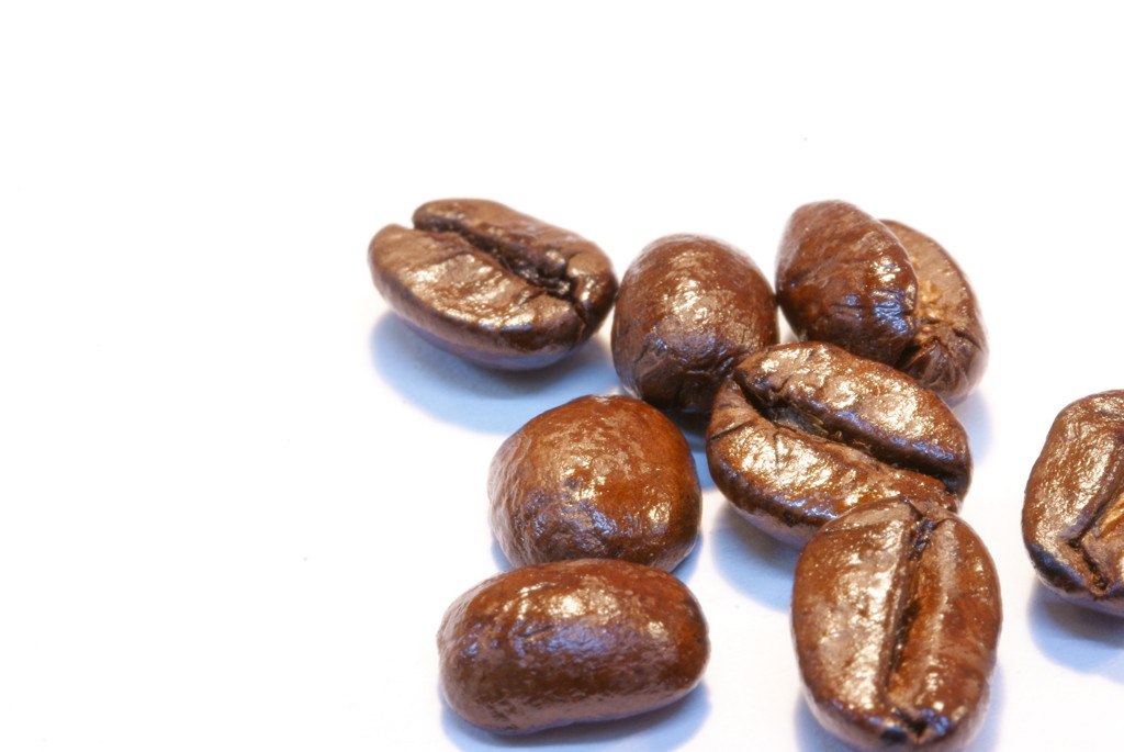 TEST5～コーヒー豆F22