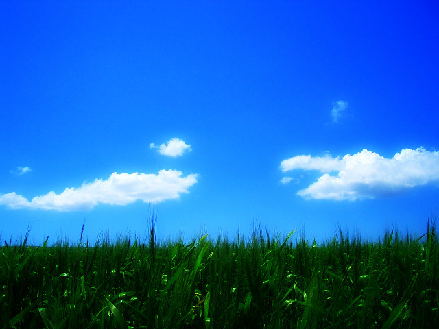 麦と２つの雲
