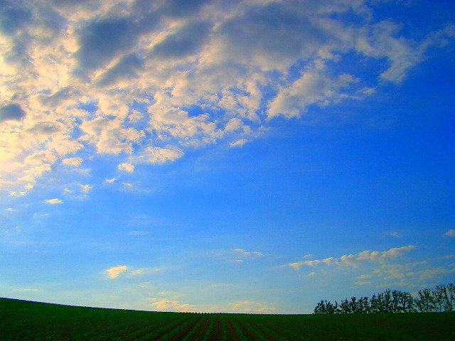 青い空