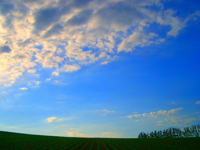 青い空