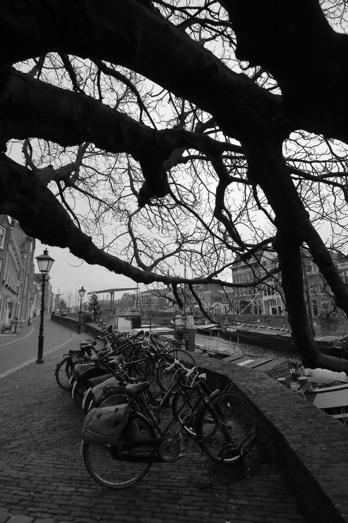 自転車のある風景　〜オランダ・ロッテルダムの運河にて〜