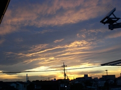 natu01