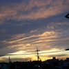 natu01