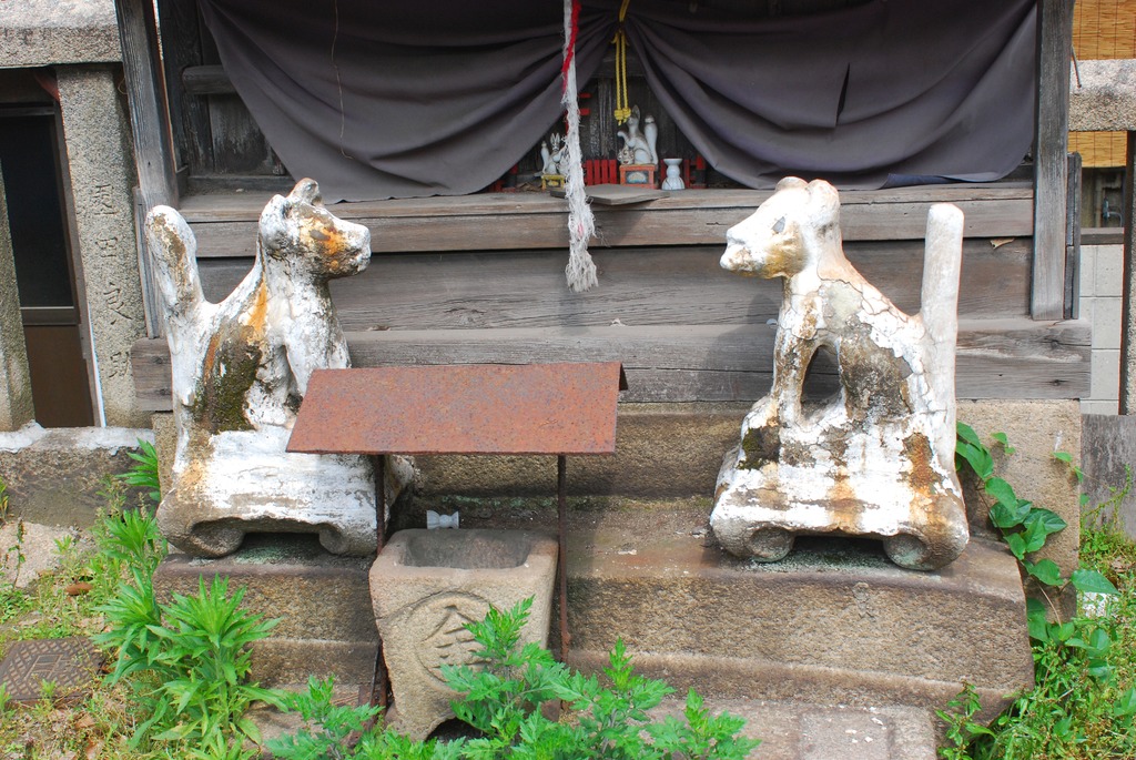 きつね