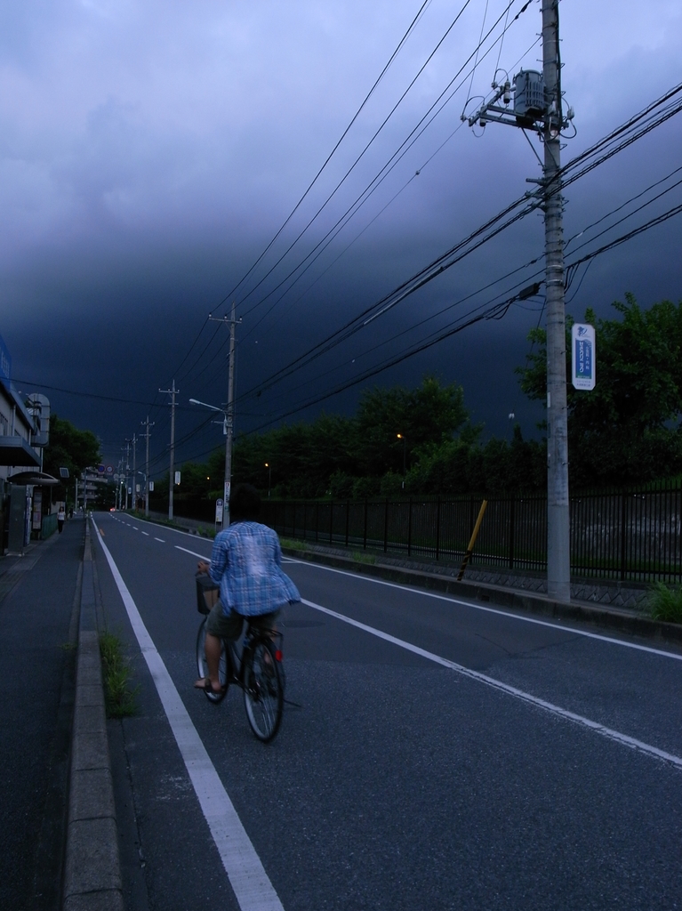 早く帰りな